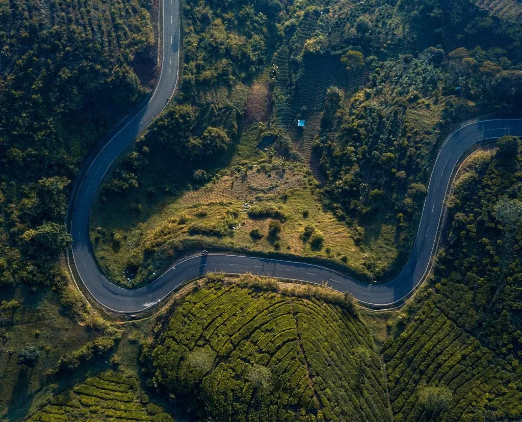 Savoring the Essence of Sahyadri Mountain Tea: Crafting a Symphony of Taste